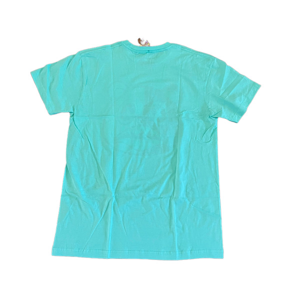 BAWS Men's Turquoise Pink Grizzly Bear Short Sleeve Crew Neck T-shirt, Medium - Picture 5 of 6